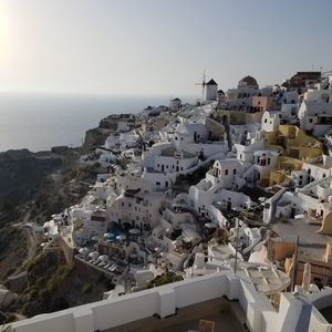 Meet your Posher, Felipe